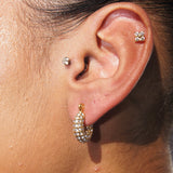 Diamond Paved Hoops